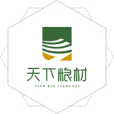 美女插逼视频污